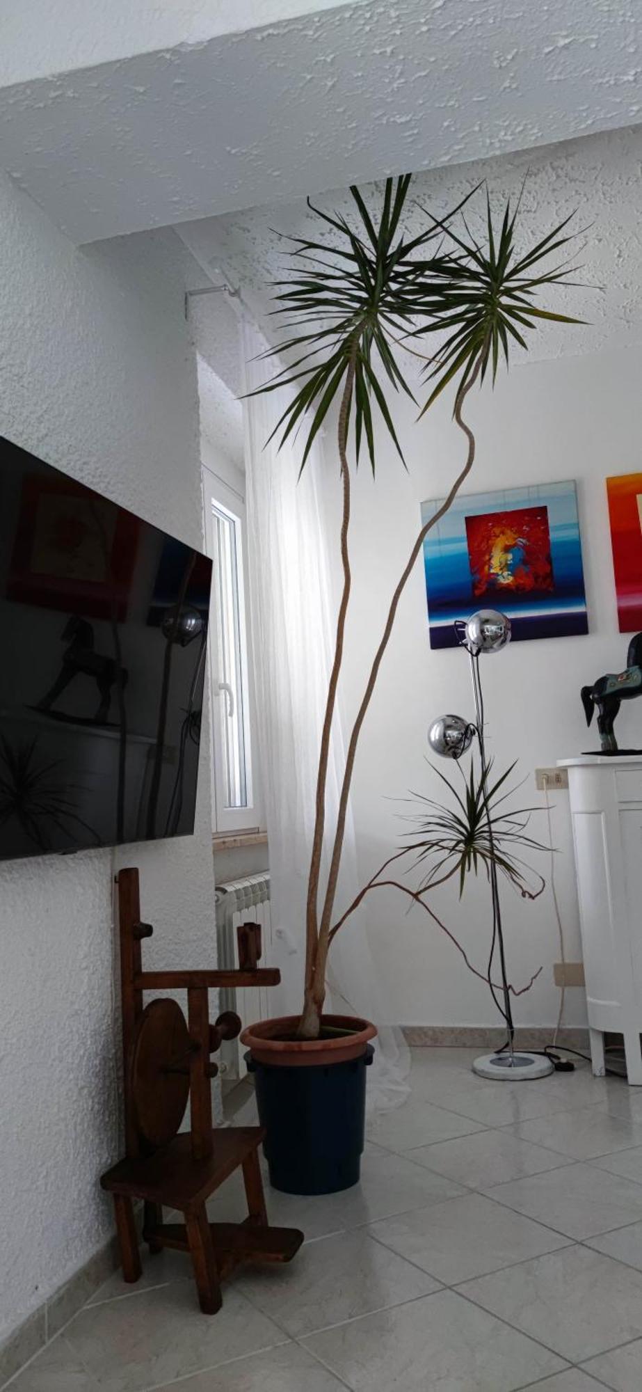 Apartamento Residenza Bertolini Fosdinovo Exterior foto